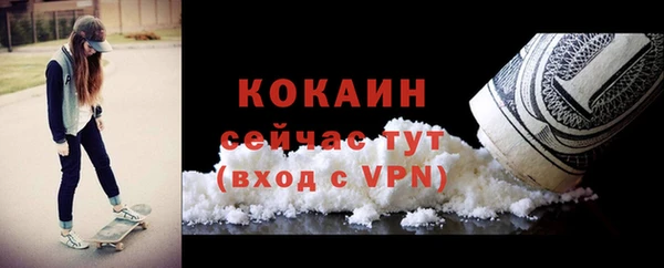 гидра Козловка