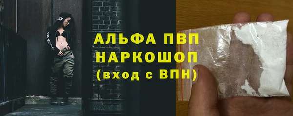 прущие грибы Киреевск