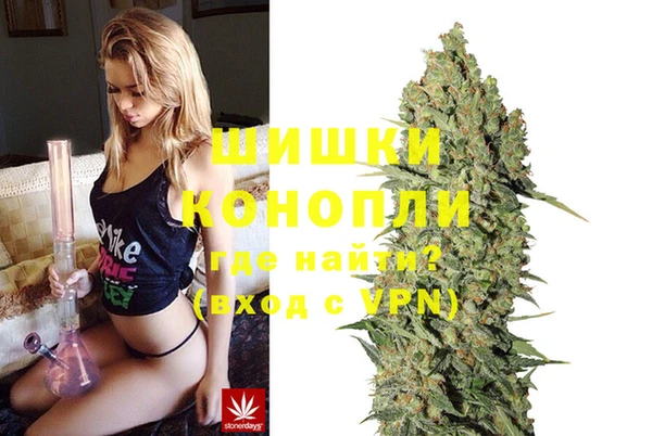 сатива Киренск