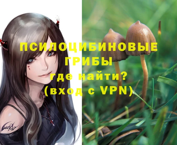 прущая мука Кинешма