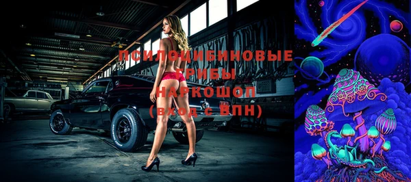 прущие грибы Киреевск