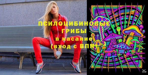 прущие грибы Киреевск