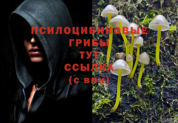 сатива Киренск