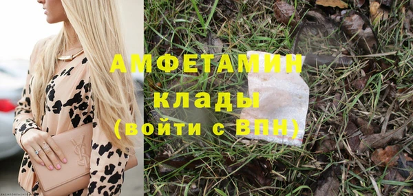 гидра Козловка