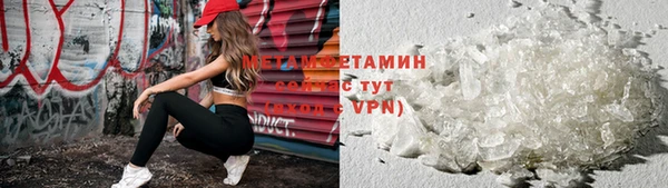 прущие грибы Киреевск